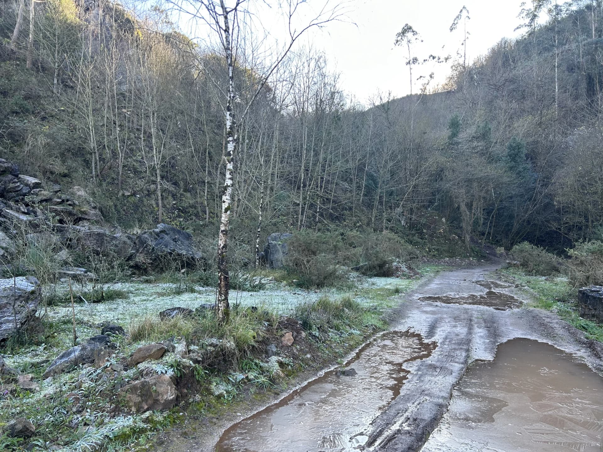 Trabajo de campo, recolección y observación material de Brenda Ranieri, registro 12