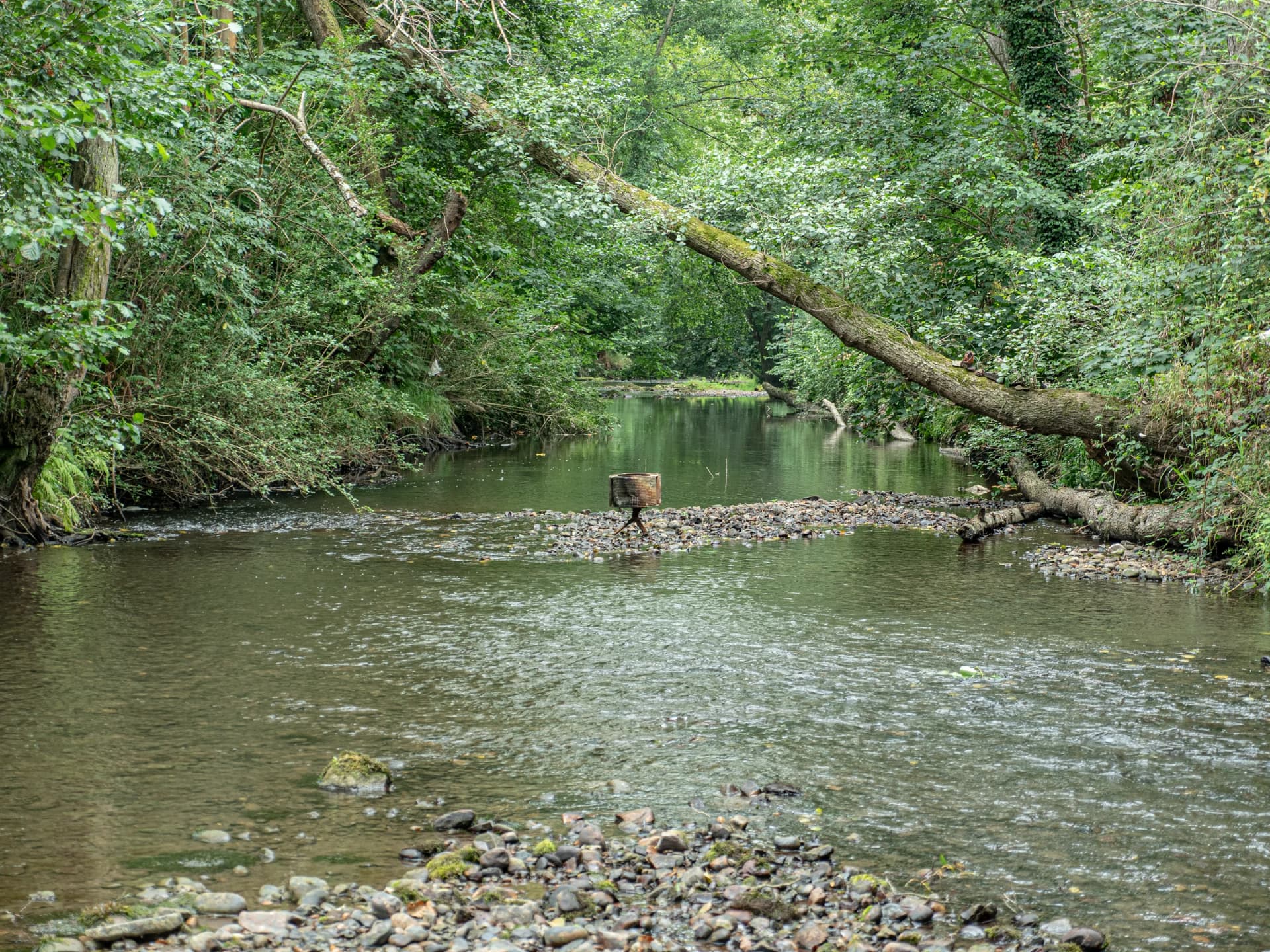 Primer registro de la investigación situada junto al río Nora