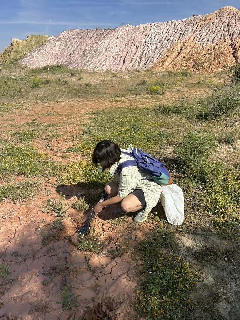 Trabajo de campo, recolección y observación material de Brenda Ranieri, registro 25