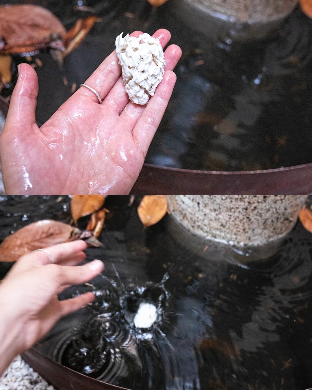 Proceso de activación y cuidado del agua en la fuente