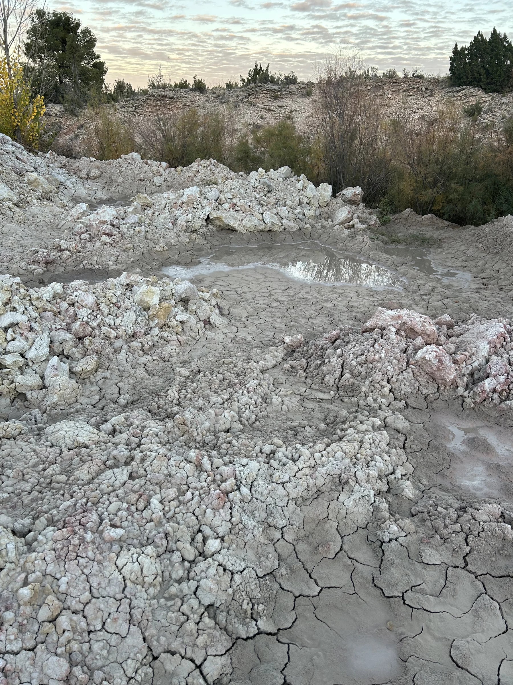 Trabajo de campo, recolección y observación material de Brenda Ranieri, registro 18