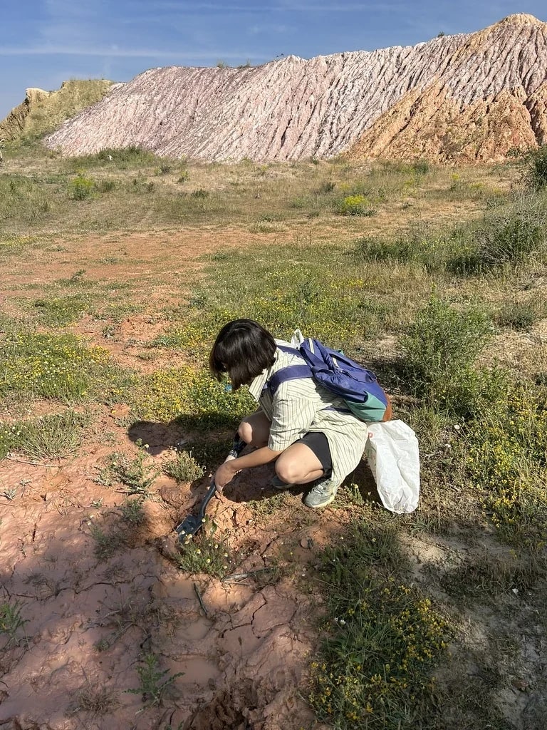 Trabajo de campo, recolección y observación material de Brenda Ranieri, registro 25