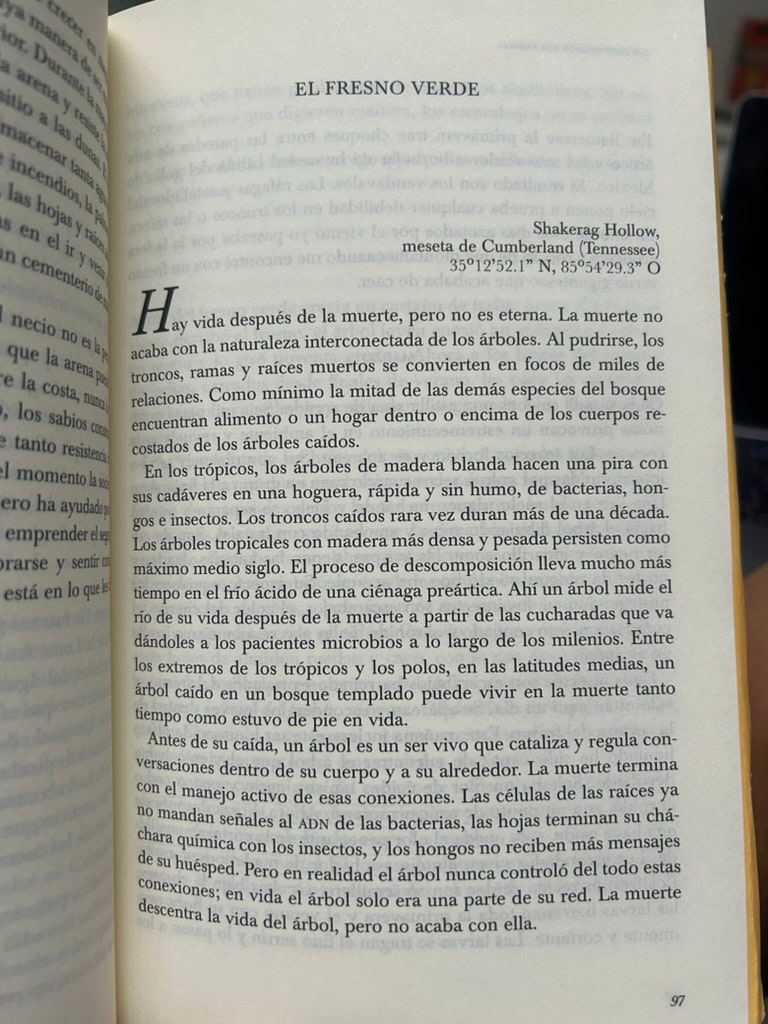 Página de El fresno verde en Las canciones de los árboles