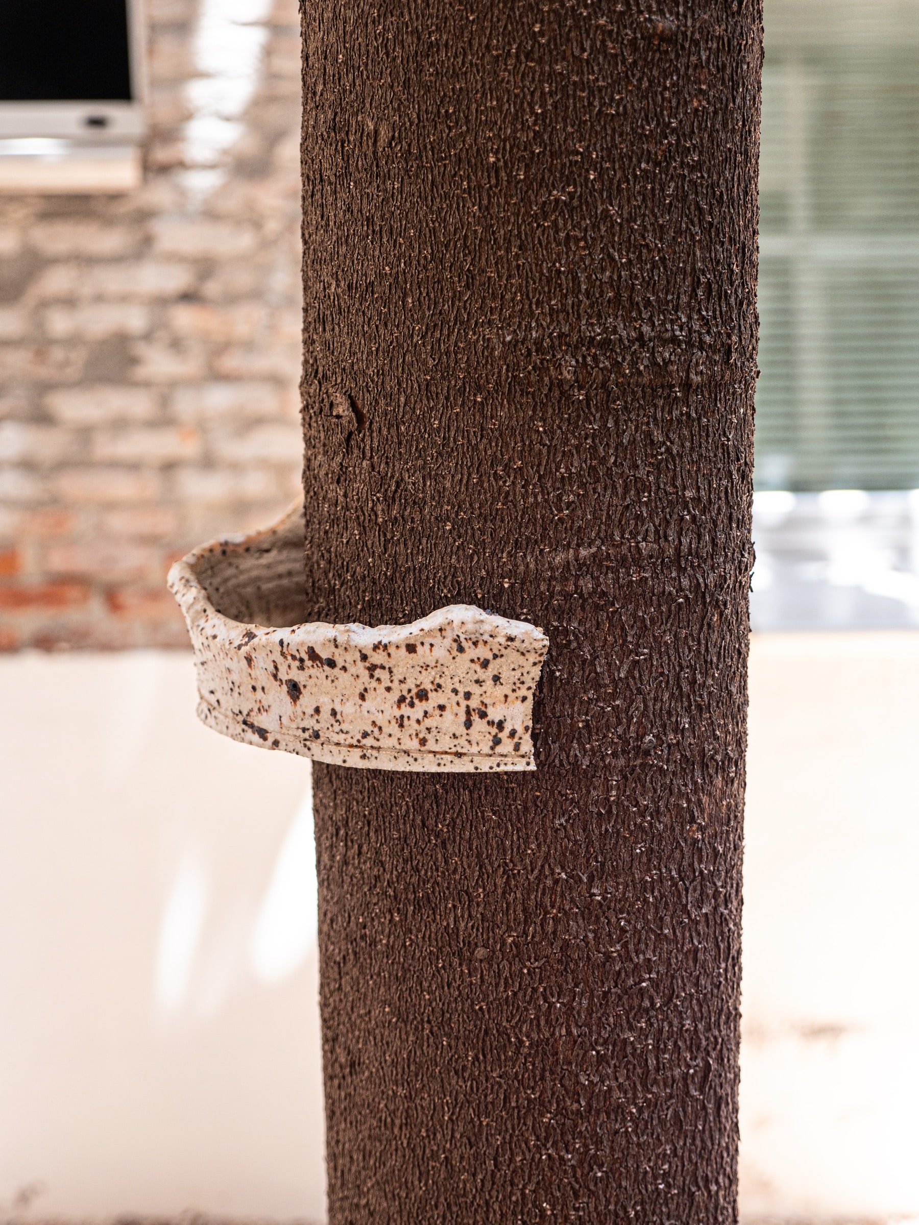 Pieza cerámica vinculada al tronco de un árbol en La forma del agua quieta