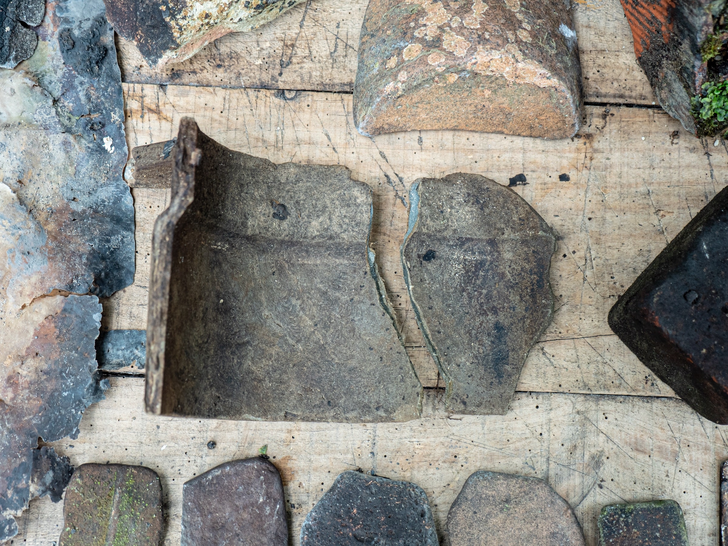 Archivo de fragmentos encontrados junto al río Nora