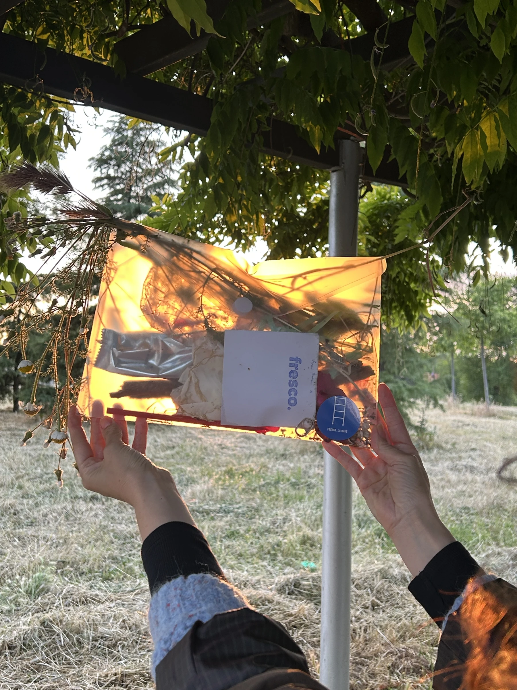 Taller de rayogramas en Fresca. La Nave, registro 03