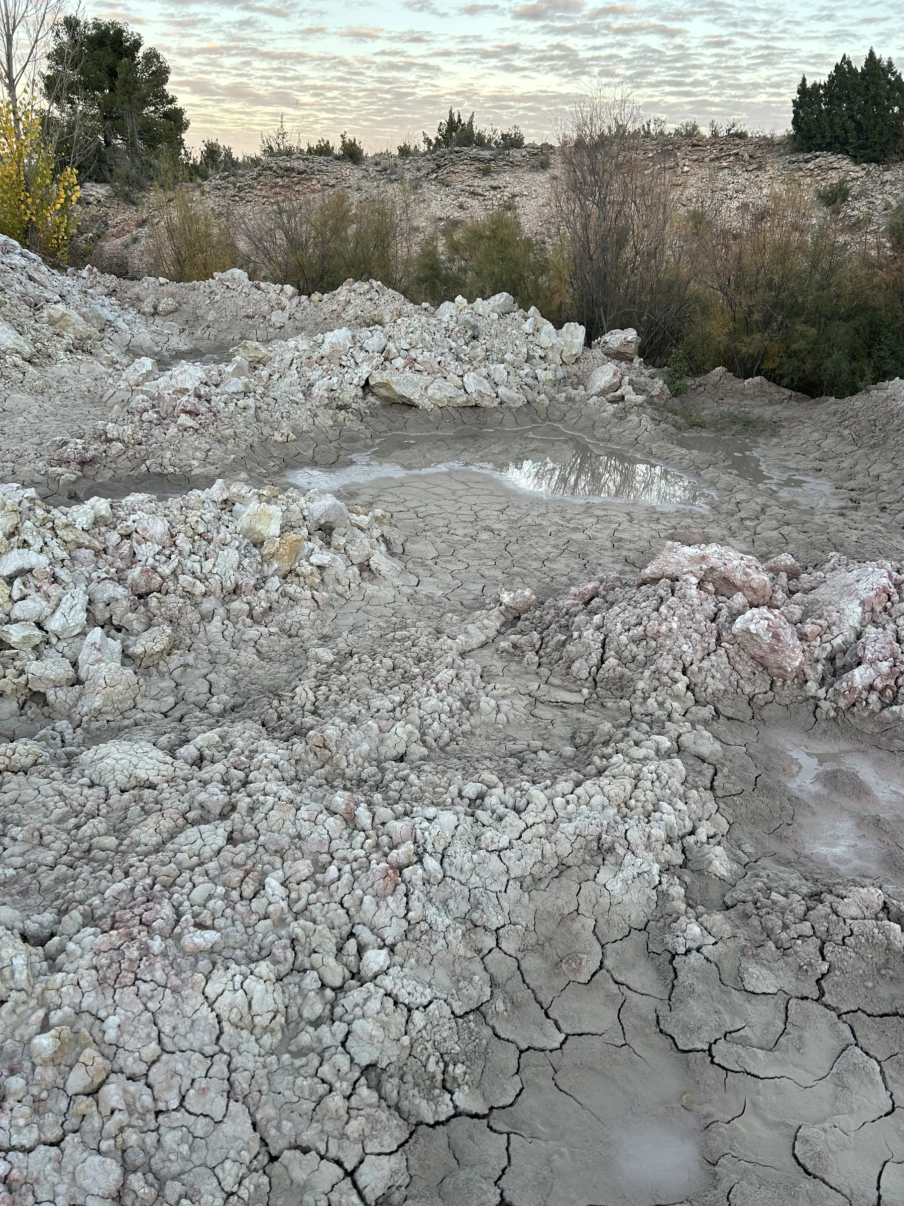 Trabajo de campo, recolección y observación material de Brenda Ranieri, registro 18