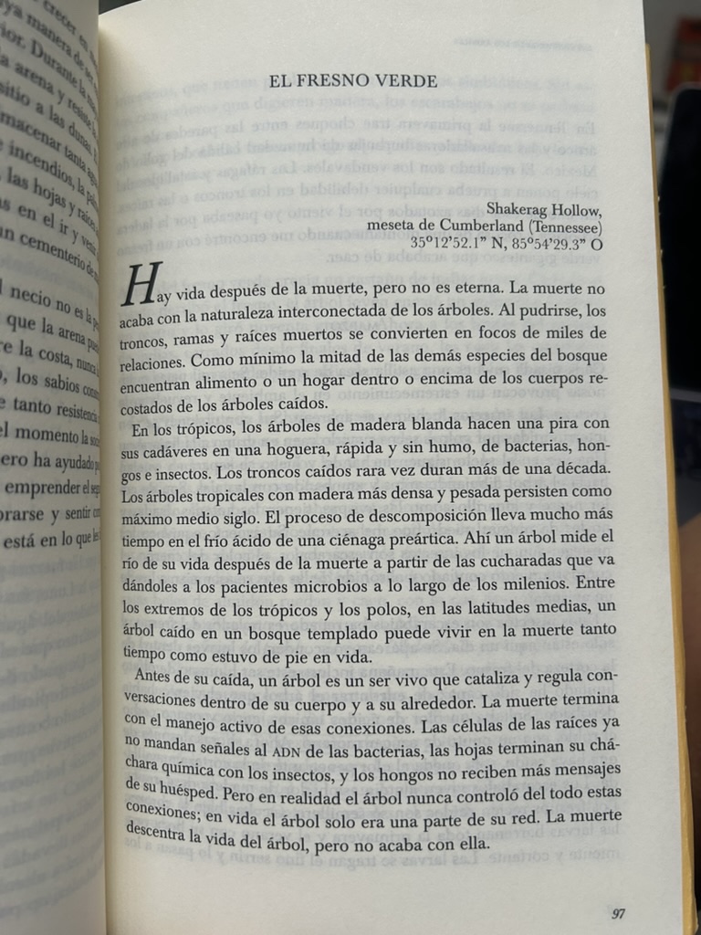 Página de El fresno verde en Las canciones de los árboles