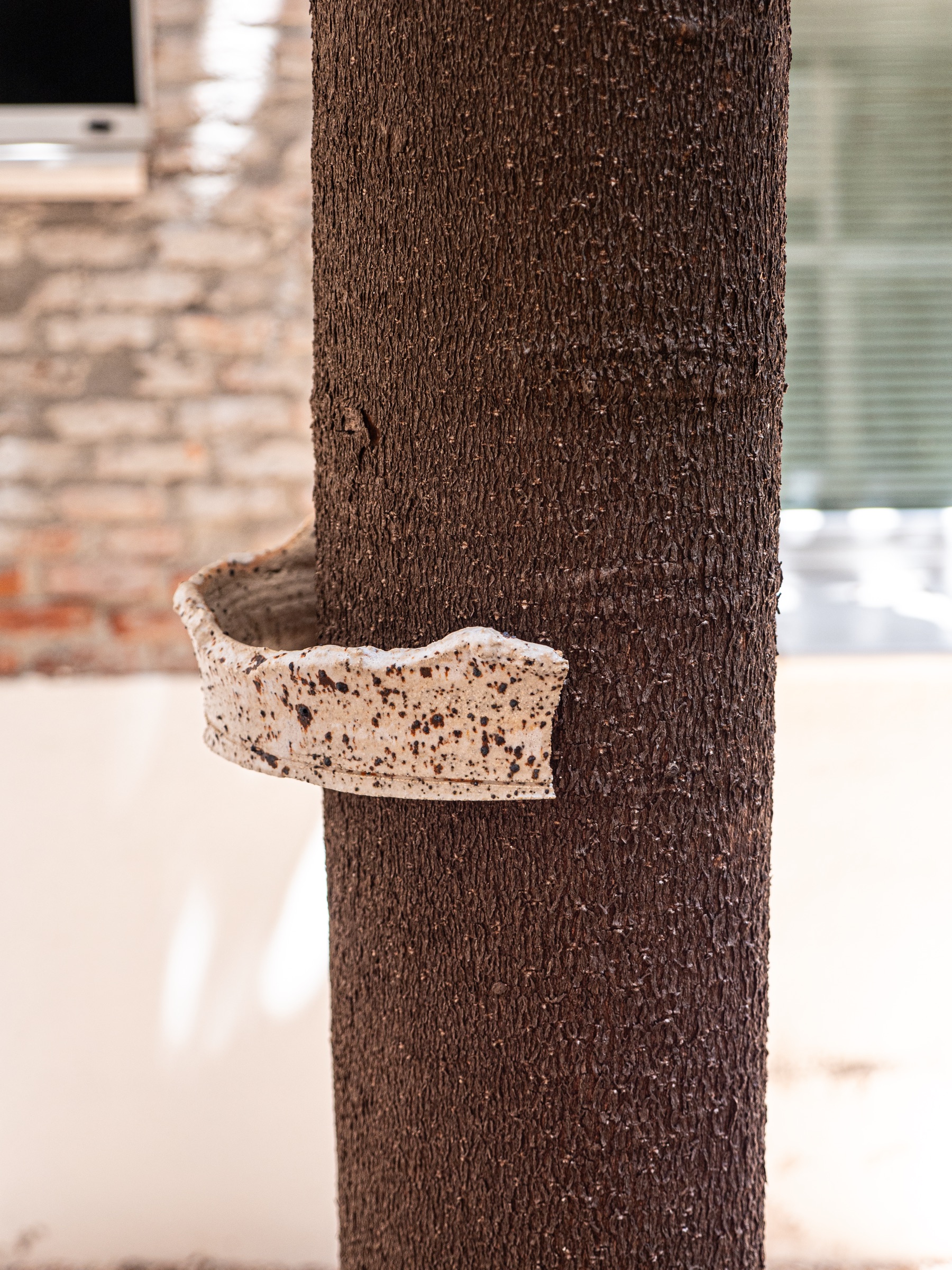 Pieza cerámica vinculada al tronco de un árbol en La forma del agua quieta
