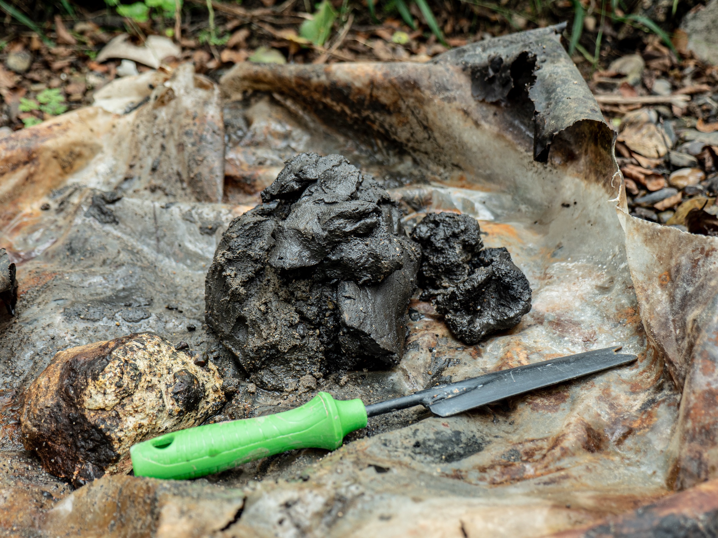 Pellas de arcilla negra decantadas por el río Nora