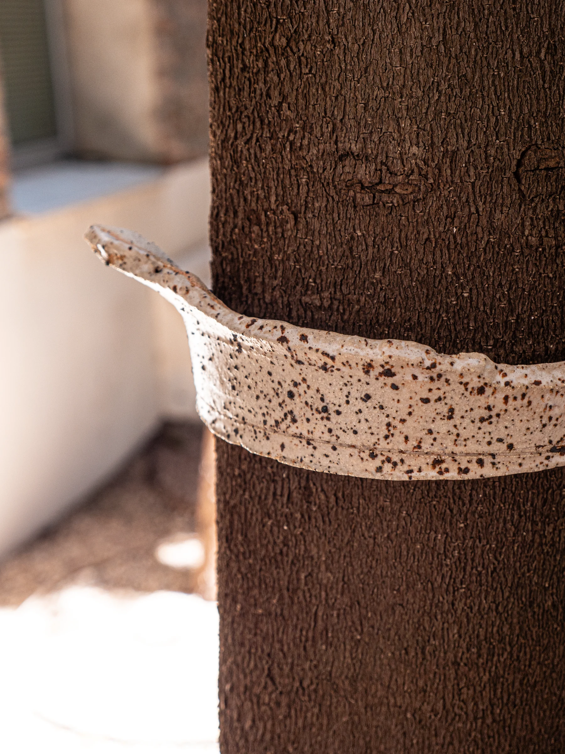 Detalle de una pieza cerámica que abraza el tronco de un árbol