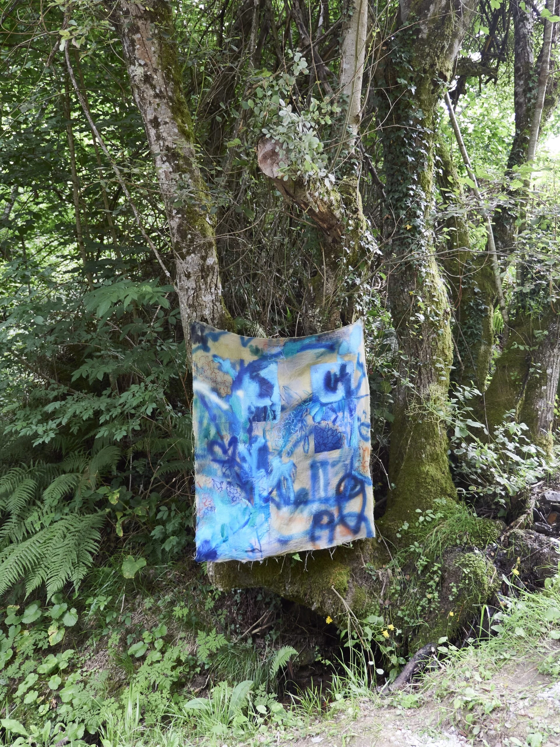 Pintura azul instalada sobre el tronco de un árbol
